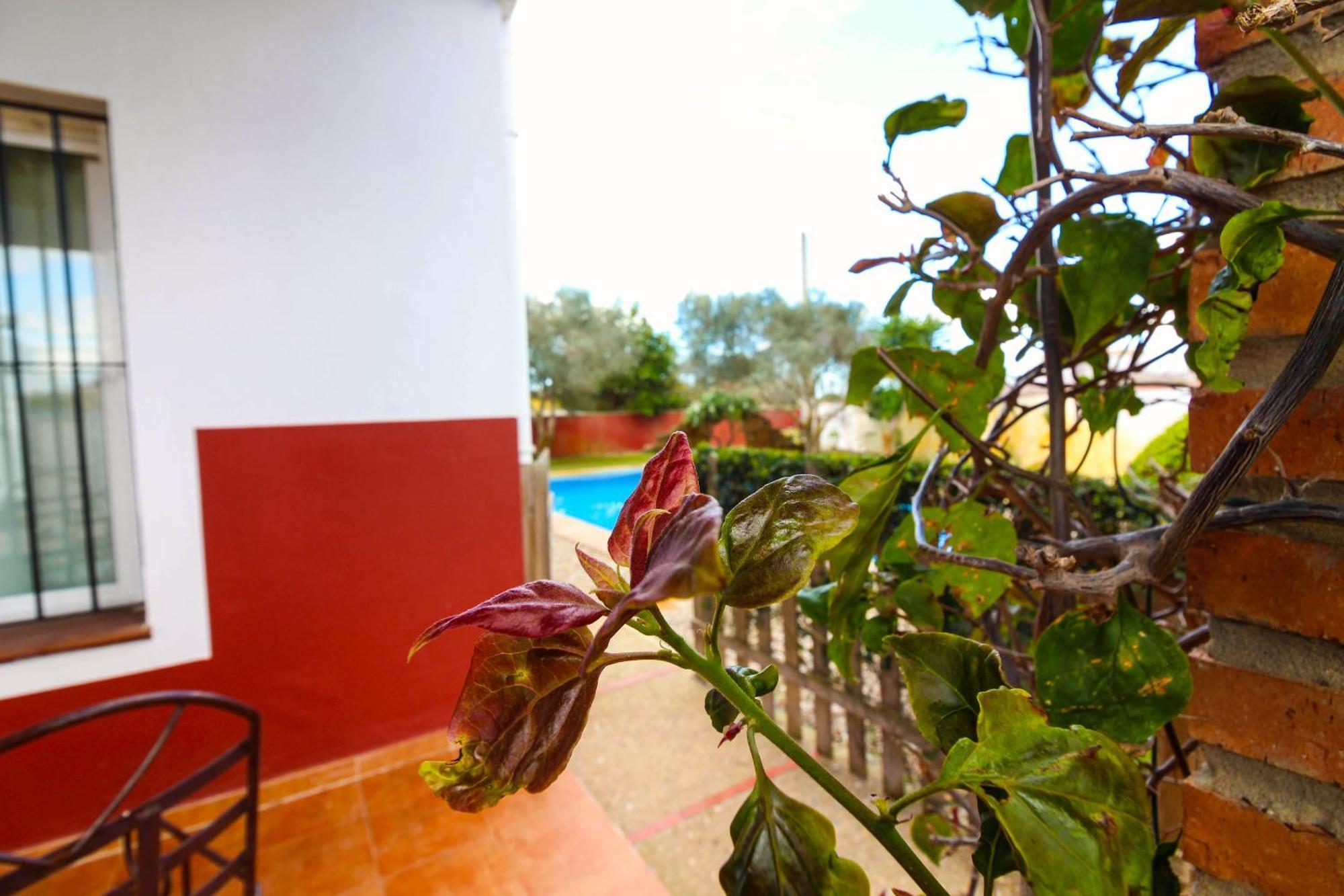 Los Candiles Conil De La Frontera Bagian luar foto