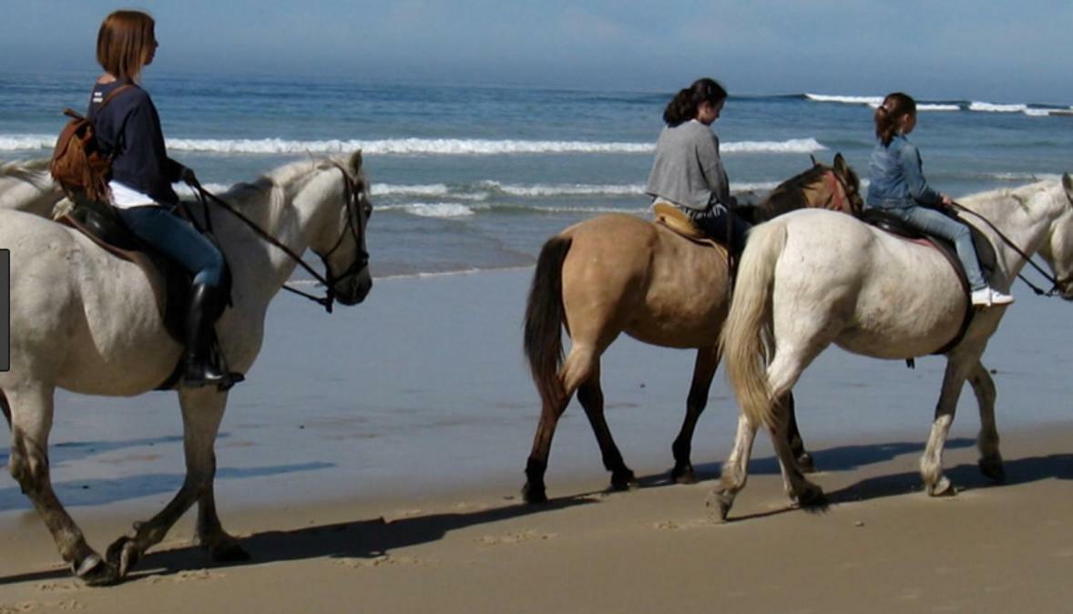 Los Candiles Conil De La Frontera Bagian luar foto